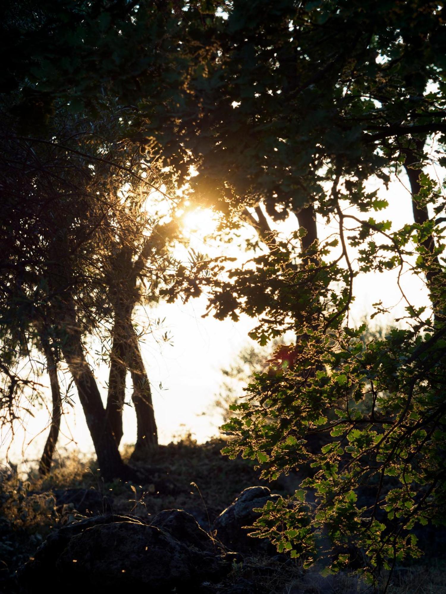 Podere Dell'Etna Segreta - Essential Nature Hotel & Glamping Biancavilla Exterior photo